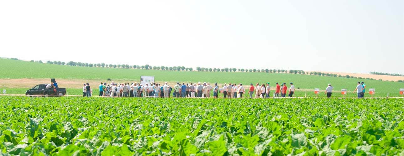 Agropiese TGR продемонстрировала в Мэрэнденах современные предложения для фермеров