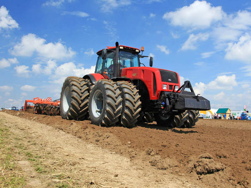 Тракторы Беларус на Дне поля в Порумбень