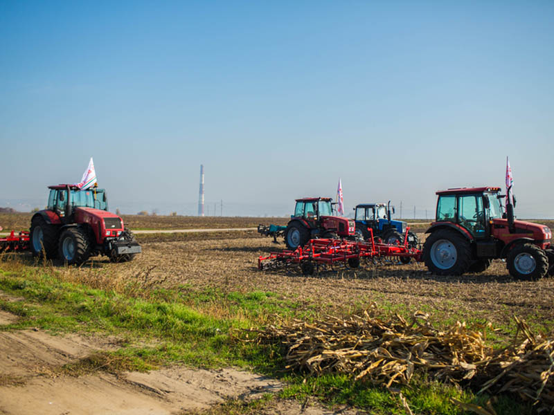 Rezultate anului pentru agricultură Moldovei